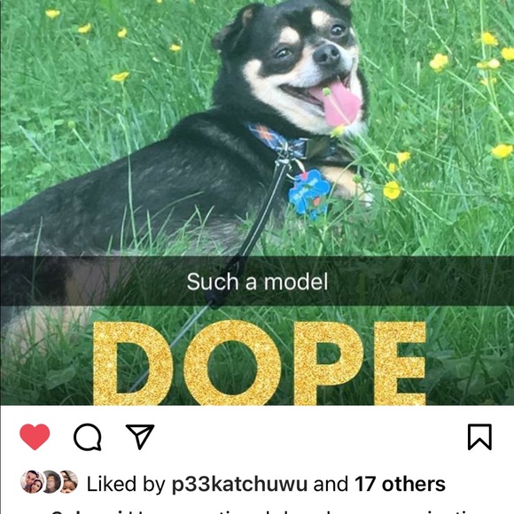 Meet your Posher, Maria - Picture 10 of 16